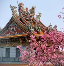竹林山寺公园11