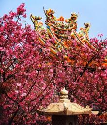 竹林山寺公园15