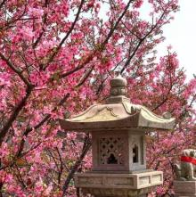 竹林山寺公园29