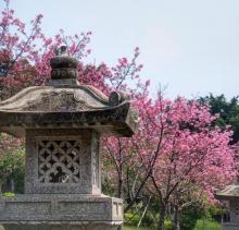 竹林山寺公园14