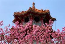竹林山寺公园24