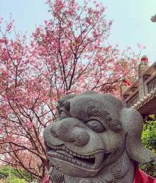 竹林山观音寺4