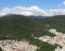 小油坑桥14