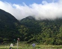 小油坑桥13