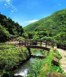 竹子湖16