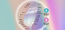 环岛之星14