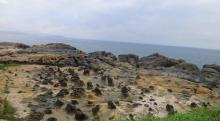 和平岛地质公园16