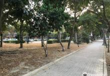 Dali Guoguang Park3