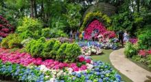 Hua Lou Farm2