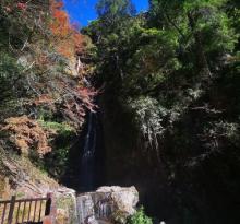 桃山瀑布步道1