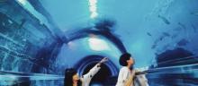 台湾海洋生物博物馆6