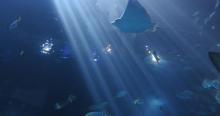 台湾海洋生物博物馆24