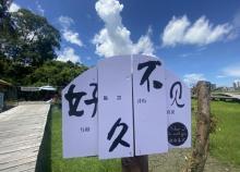 桥海星语露营地10