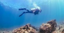 PEPS DIVE 海南活力国际潜水中心16