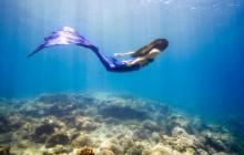 PEPS DIVE 海南活力国际潜水中心9