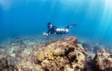 PEPS DIVE 海南活力国际潜水中心5