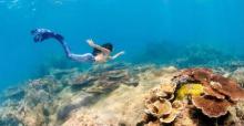 PEPS DIVE 海南活力国际潜水中心12