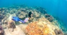 PEPS DIVE 海南活力国际潜水中心13