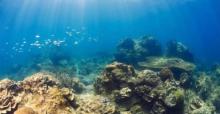 PEPS DIVE 海南活力国际潜水中心23