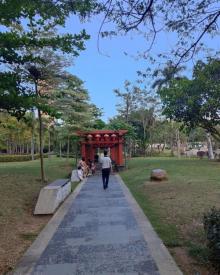 中湖公园4
