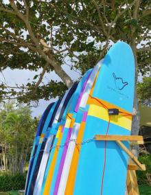 SHAKA SURF沙卡冲浪(石梅湾店)4