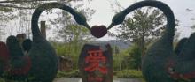 海南莲花山文化景区1