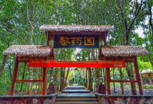 兴隆南药植物园15