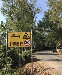 白查村20
