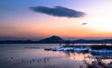 白鹭乐园2