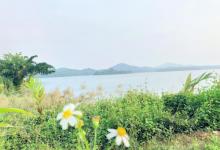 云月湖4