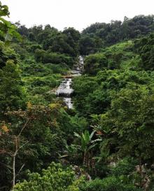 鹦歌岭2