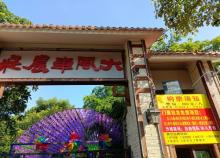 大风车农庄3