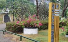 海口西海岸挺秀公园5