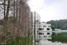 中国科学院华南植物园2