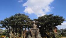 桂林洋国家热带农业公园14