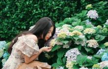几度植物迷宫22