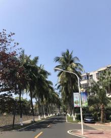 海南大学16