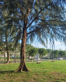 海南大学8