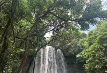 居仁瀑布8