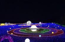 海花岛珍奇特色植物园1