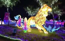 海花岛珍奇特色植物园3