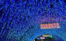 海花岛珍奇特色植物园5