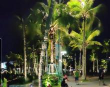 海口人民公园10
