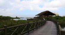 富力红树湾湿地公园9