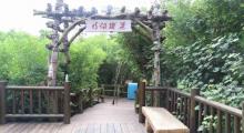 富力红树湾湿地公园17