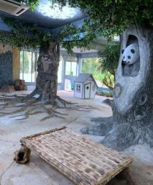 海南热带野生动植物园16