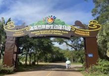 海南热带野生动植物园28