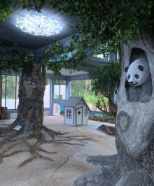 海南热带野生动植物园15