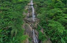 海南百花岭热带雨林文化旅游区11