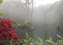 海南百花岭热带雨林文化旅游区23